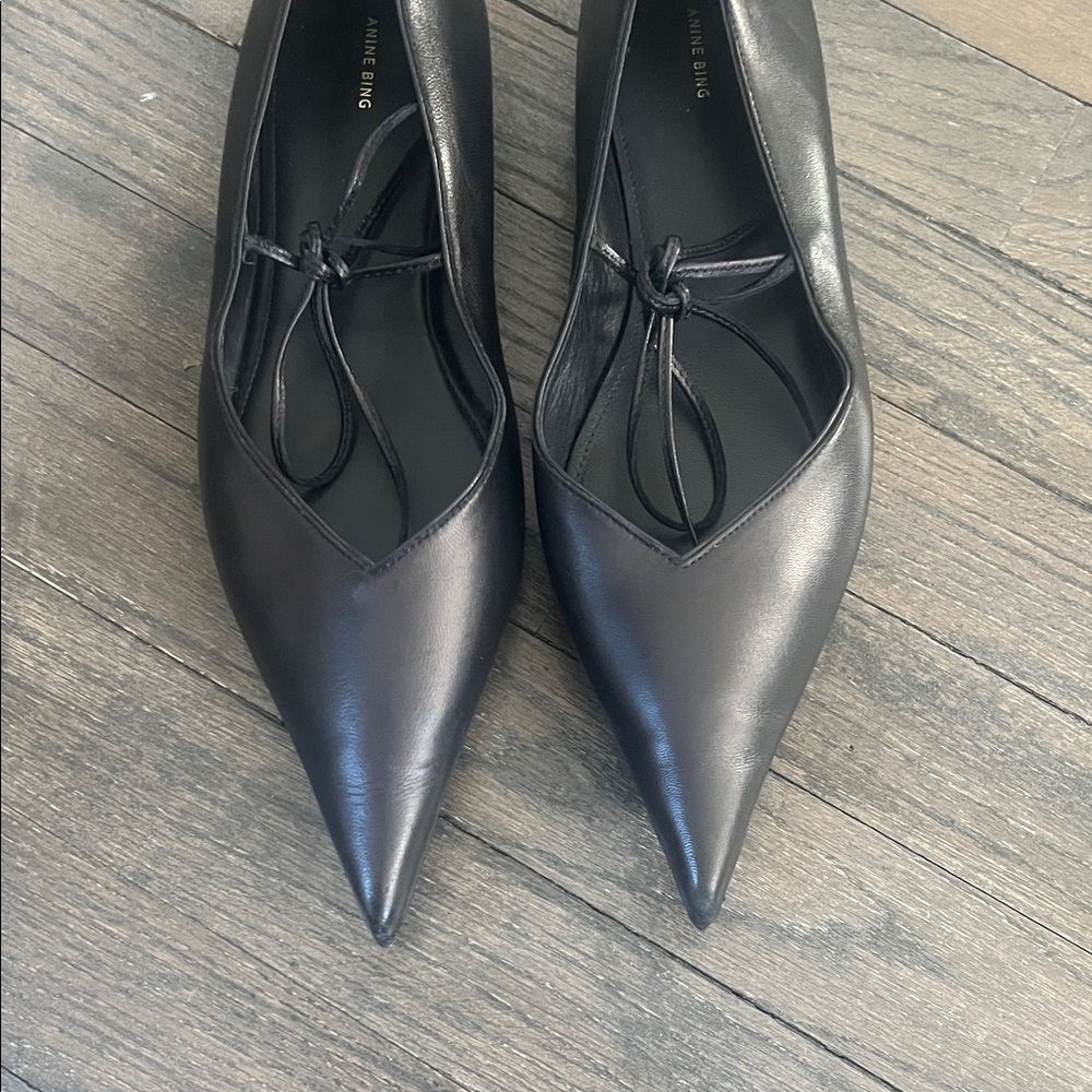 Anine Bing Nikki Flats - Black leather pointed - Picture 6 of 13